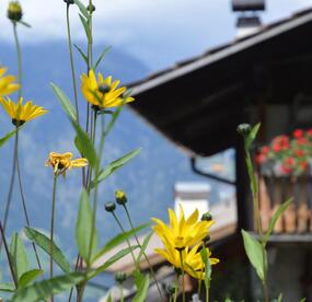 detail-blumen-02