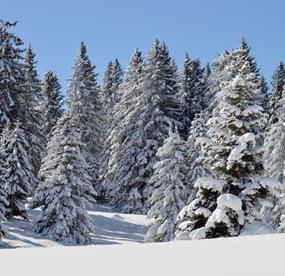 umgebung-winter-01