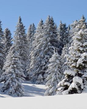 umgebung-winter-01