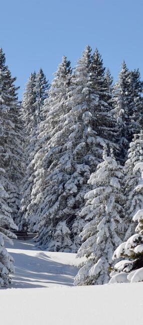 umgebung-winter-01