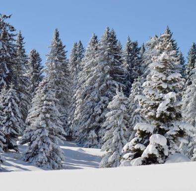 umgebung-winter-01