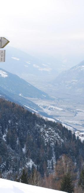 umgebung-wegweiser-02