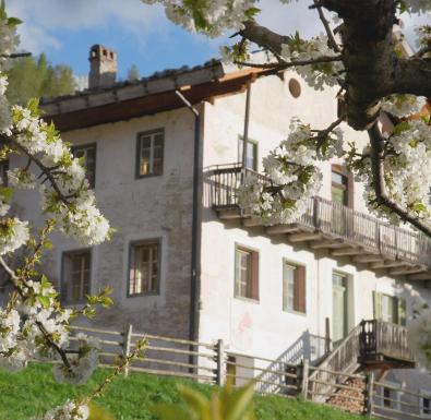 umgebung-dorf-07