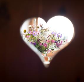 detail-blumen-herz