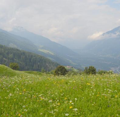 umgebung-vinschgau-sommer-01